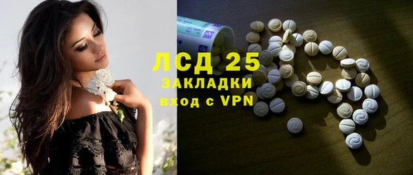сатива Абинск