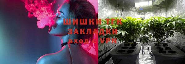 сатива Абинск