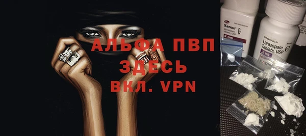 сатива Абинск