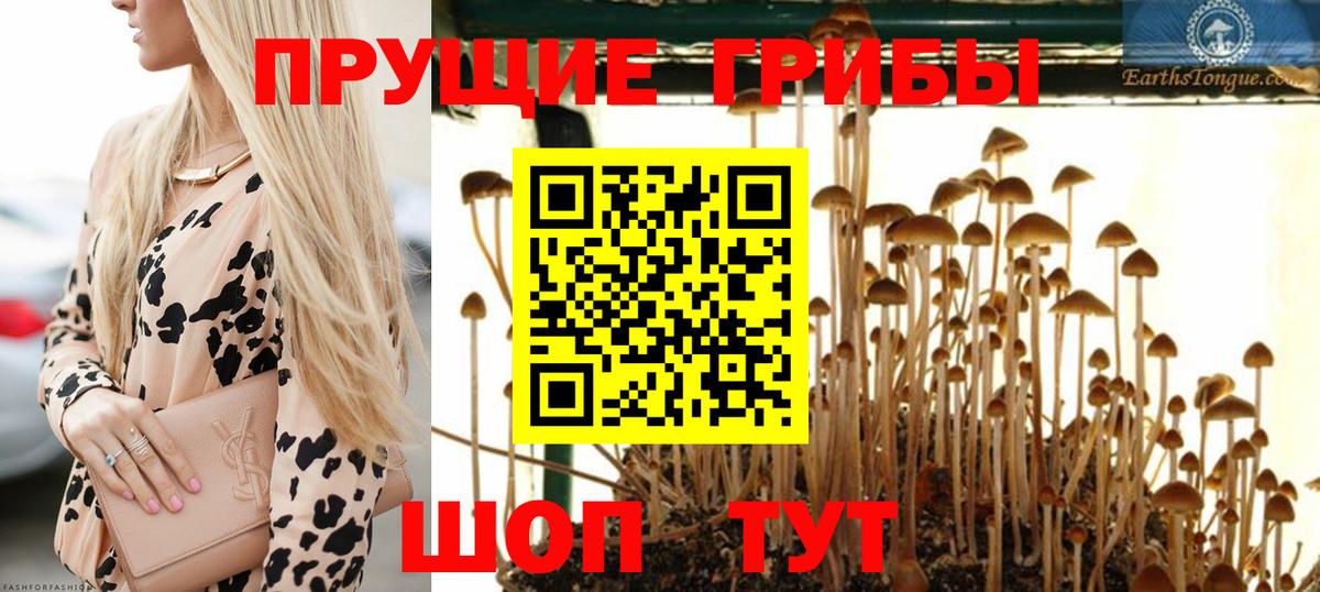 Псилоцибиновые грибы Cubensis  дарнет шоп  Вход с VPN  Абинск  Галлюциногенные грибы мухоморы 