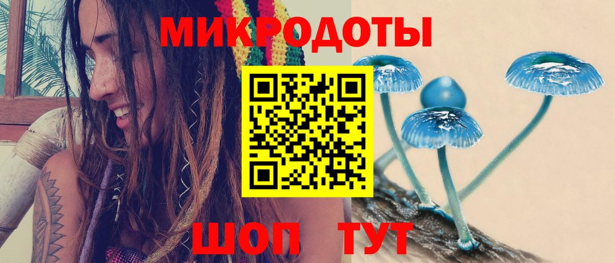 Галлюциногенные грибы мухоморы Абинск