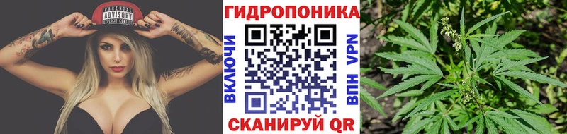 Конопля индика  Купить где  Абинск 